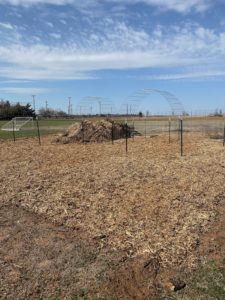 wood-chip-pile.jpg